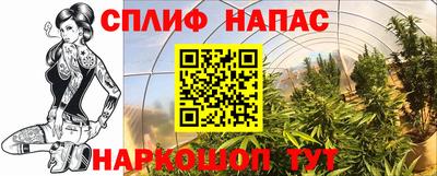 mdma Камышлов