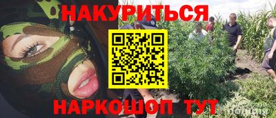 амф Кандалакша