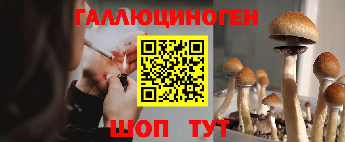Галлюциногенные грибы прущие грибы Арзамас